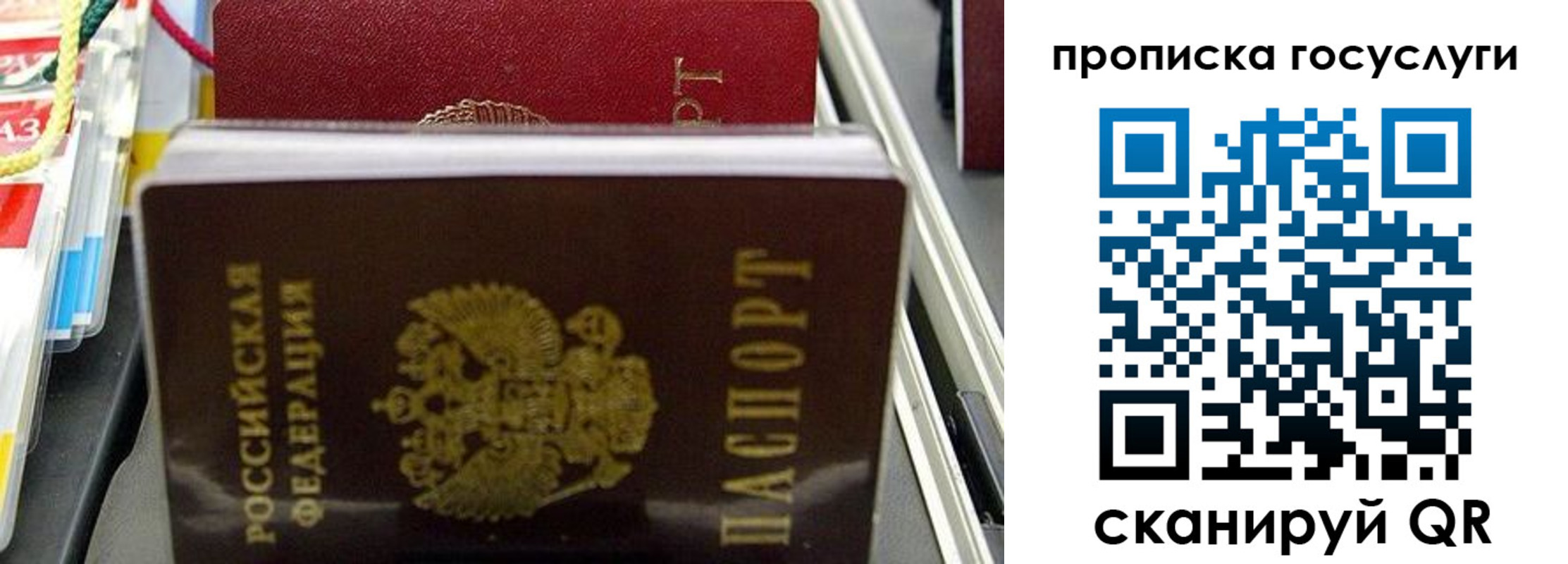 где прописаться в Псковской области